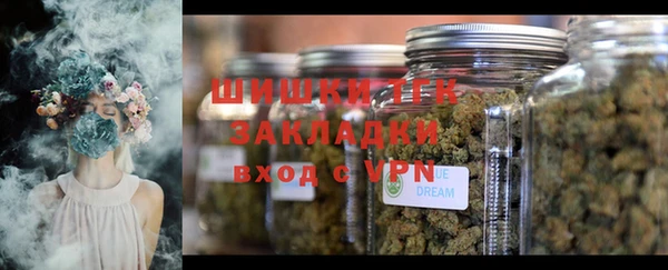 бошки Горнозаводск