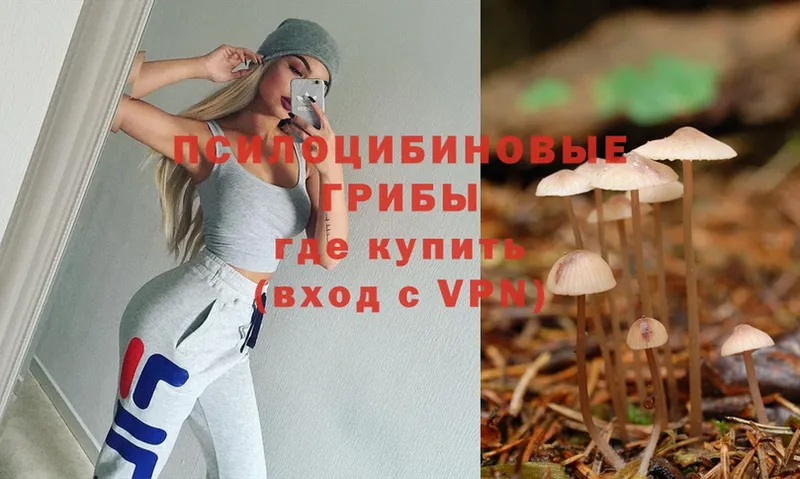 Псилоцибиновые грибы Cubensis  что такое наркотик  Дегтярск 