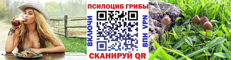 Псилоцибиновые грибы GOLDEN TEACHER  Дегтярск 